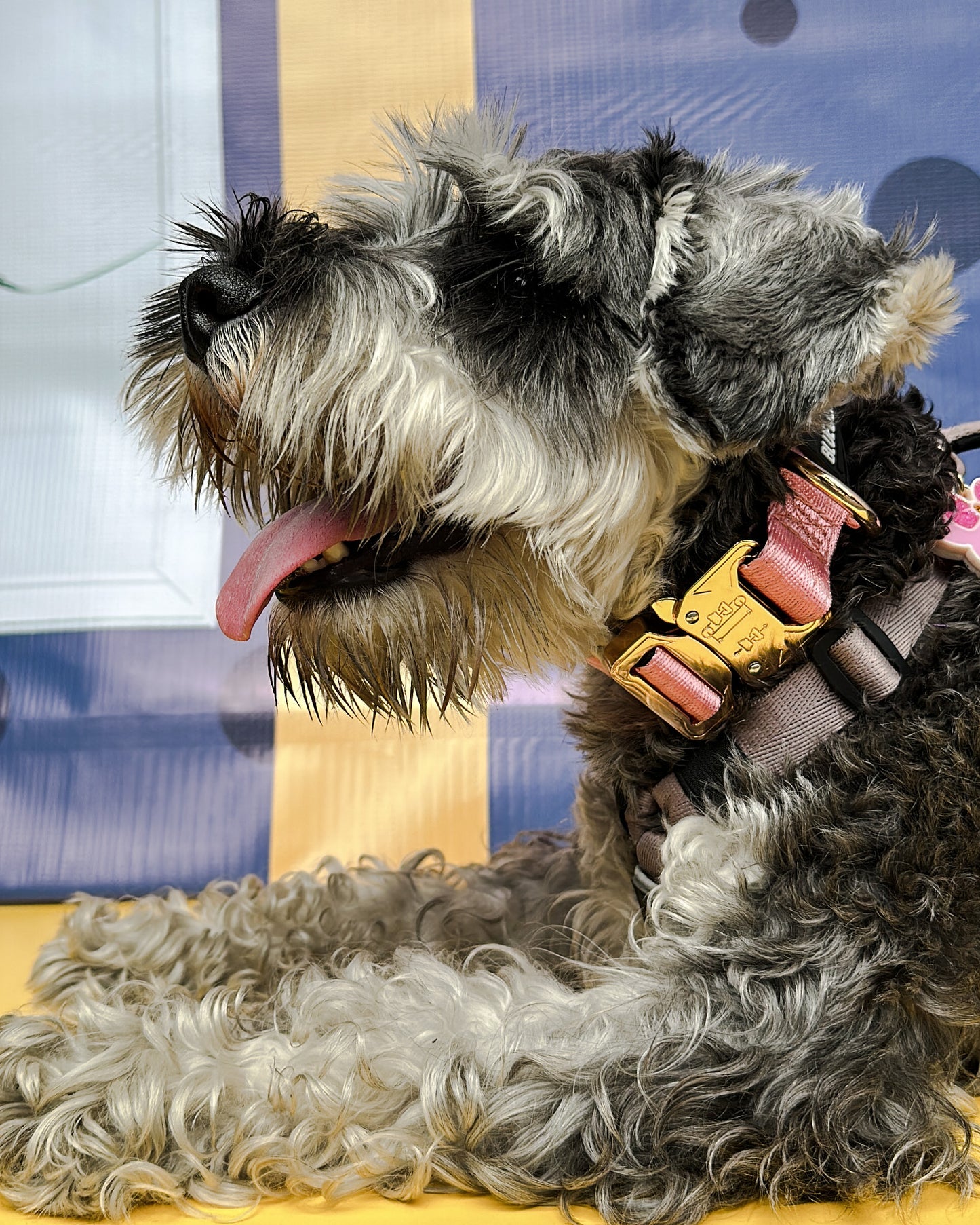 Collar Deluxe delgado - Rosa Barbie