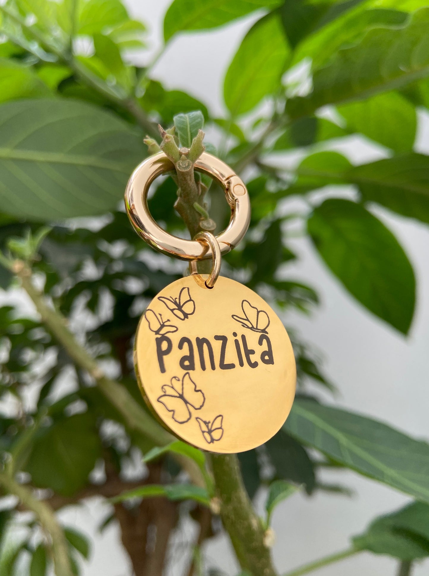 Plaquita de identificación - Colección Libertad