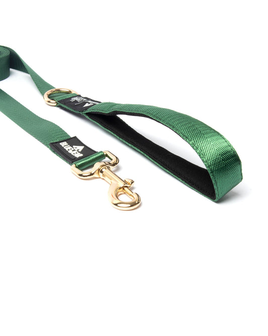 Correa clásica - Color Esmeralda