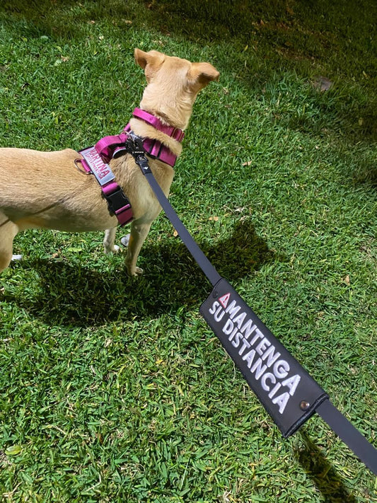 Manga personalizada para correa - Negro