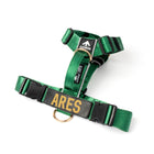 Arnés clásico - Esmeralda