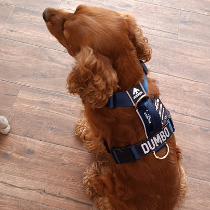 Arnés clásico - Azul Marino