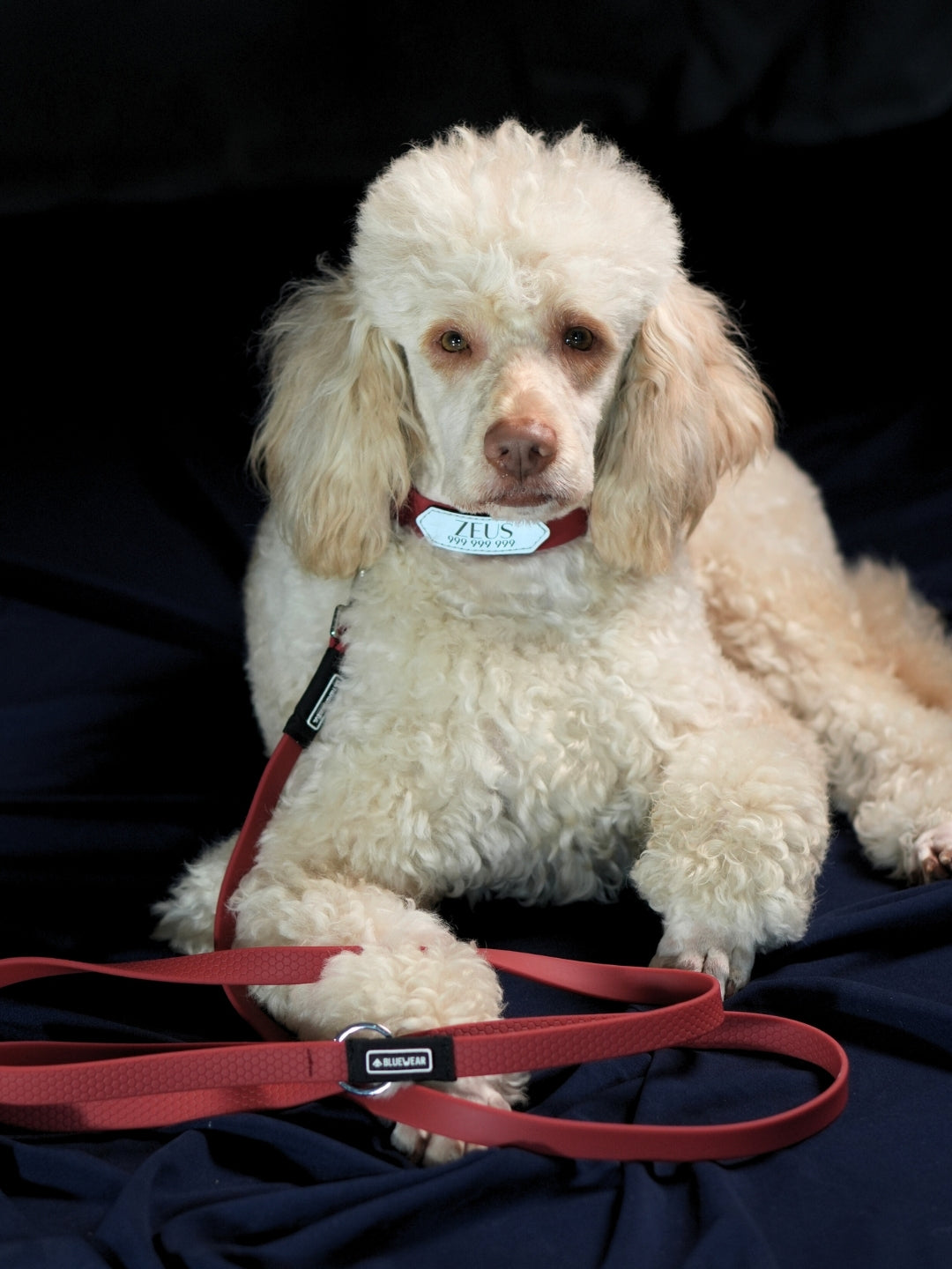 Collar impermeable personalizado - rojo vino