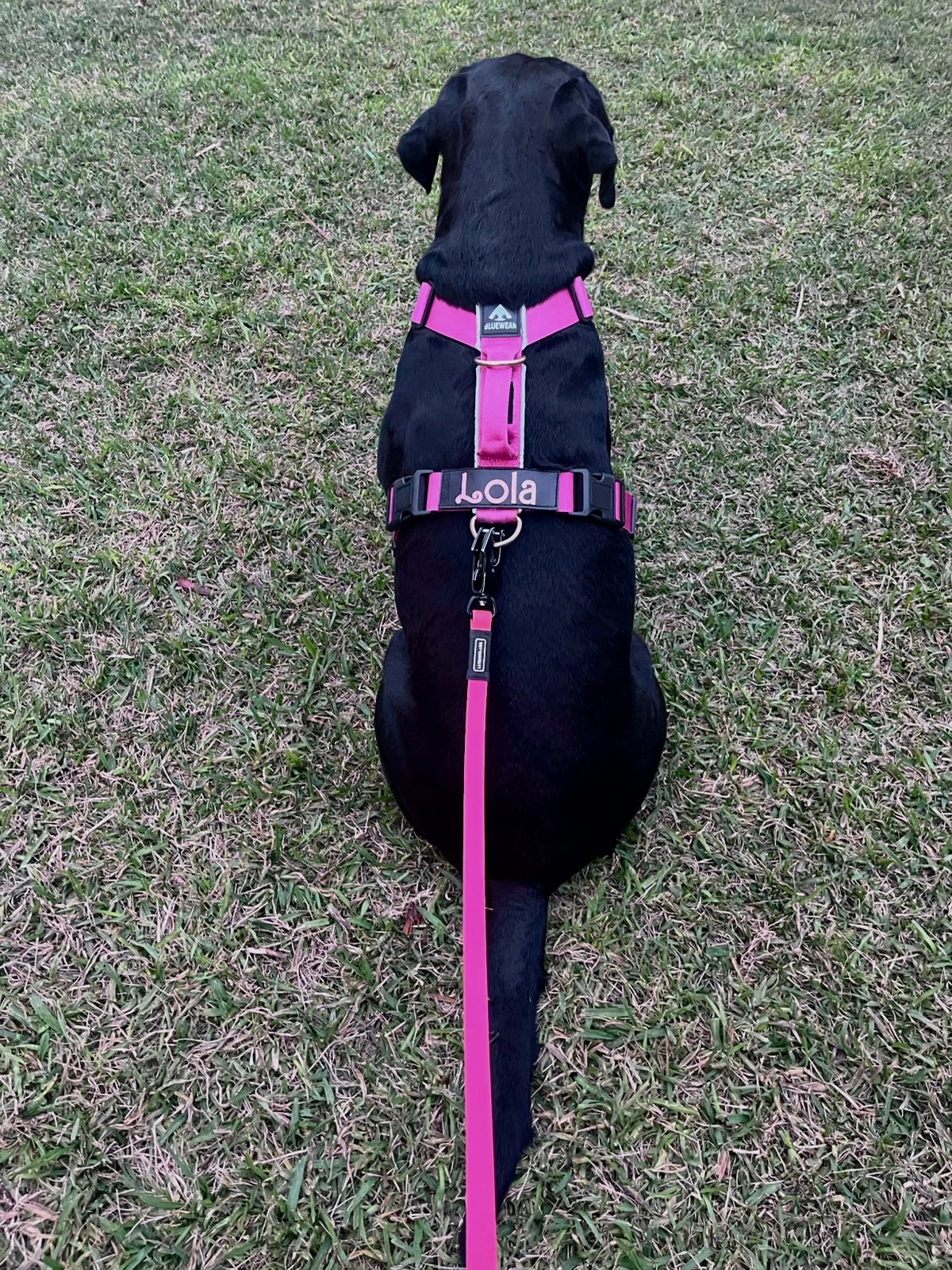 Correa larga impermeable - Fucsia