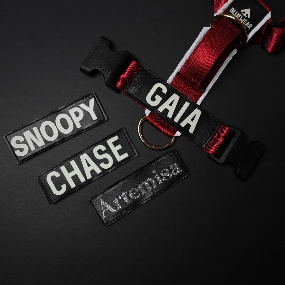 Parche personalizado para arnés - Estampado