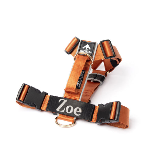 Arnés clásico - Ocre