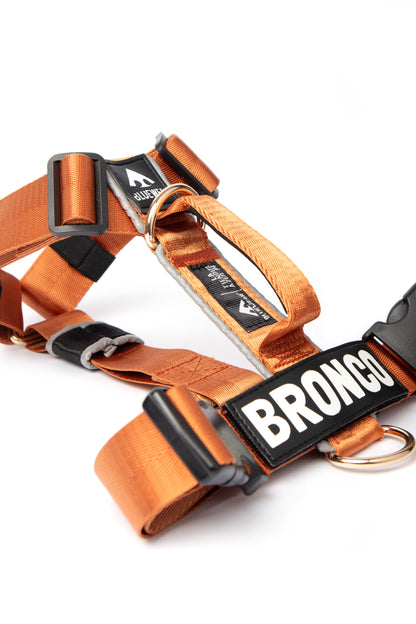 Arnés clásico - Ocre