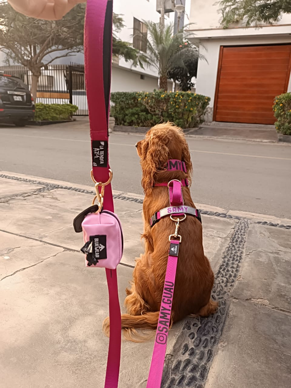 Portabolsas Rosa - 2 en 1 - Dispensador de poopbags + poop clip