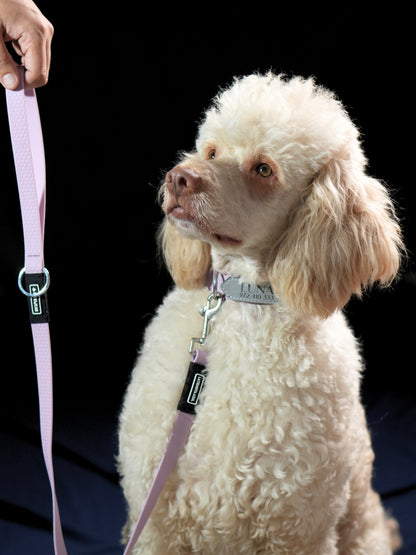 Collar impermeable personalizado - lila