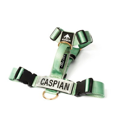 Arnés clásico - Menta