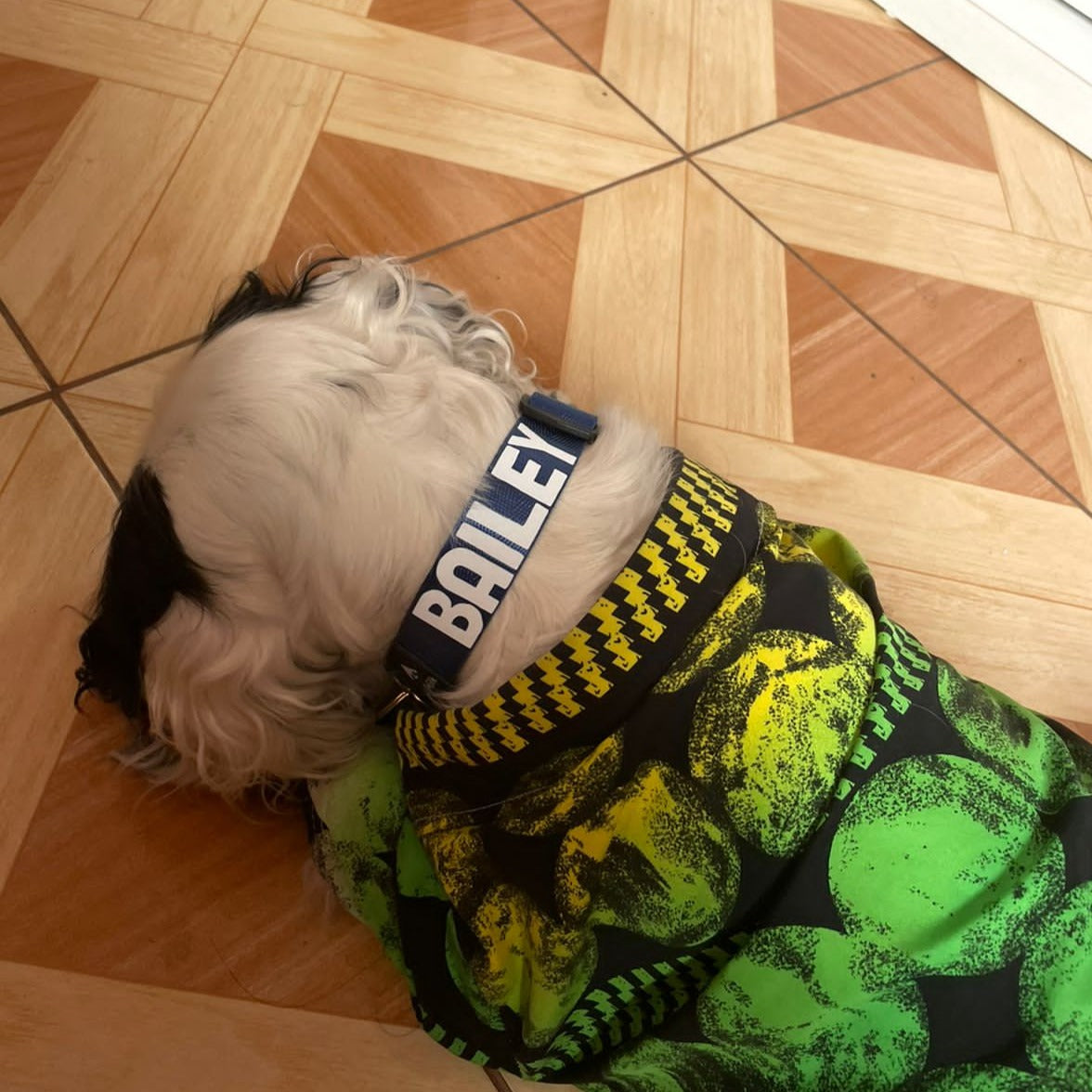 Collar delgado classic - Azul acero