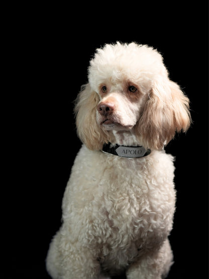 Collar impermeable personalizado - negro