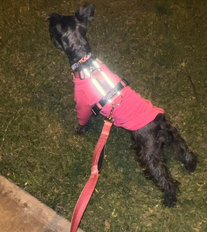 Correa clásica - Color Rosa Barbie