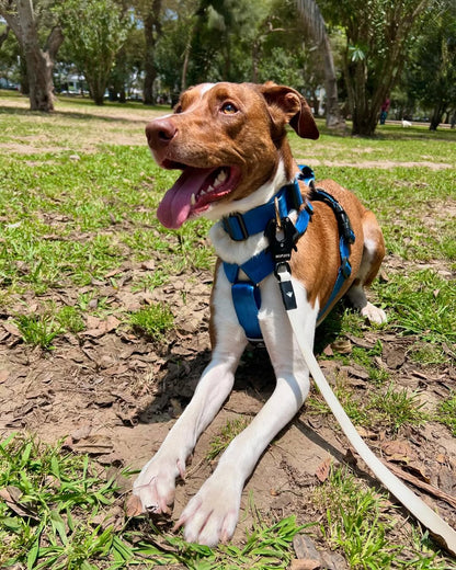 Correa larga impermeable - Humo