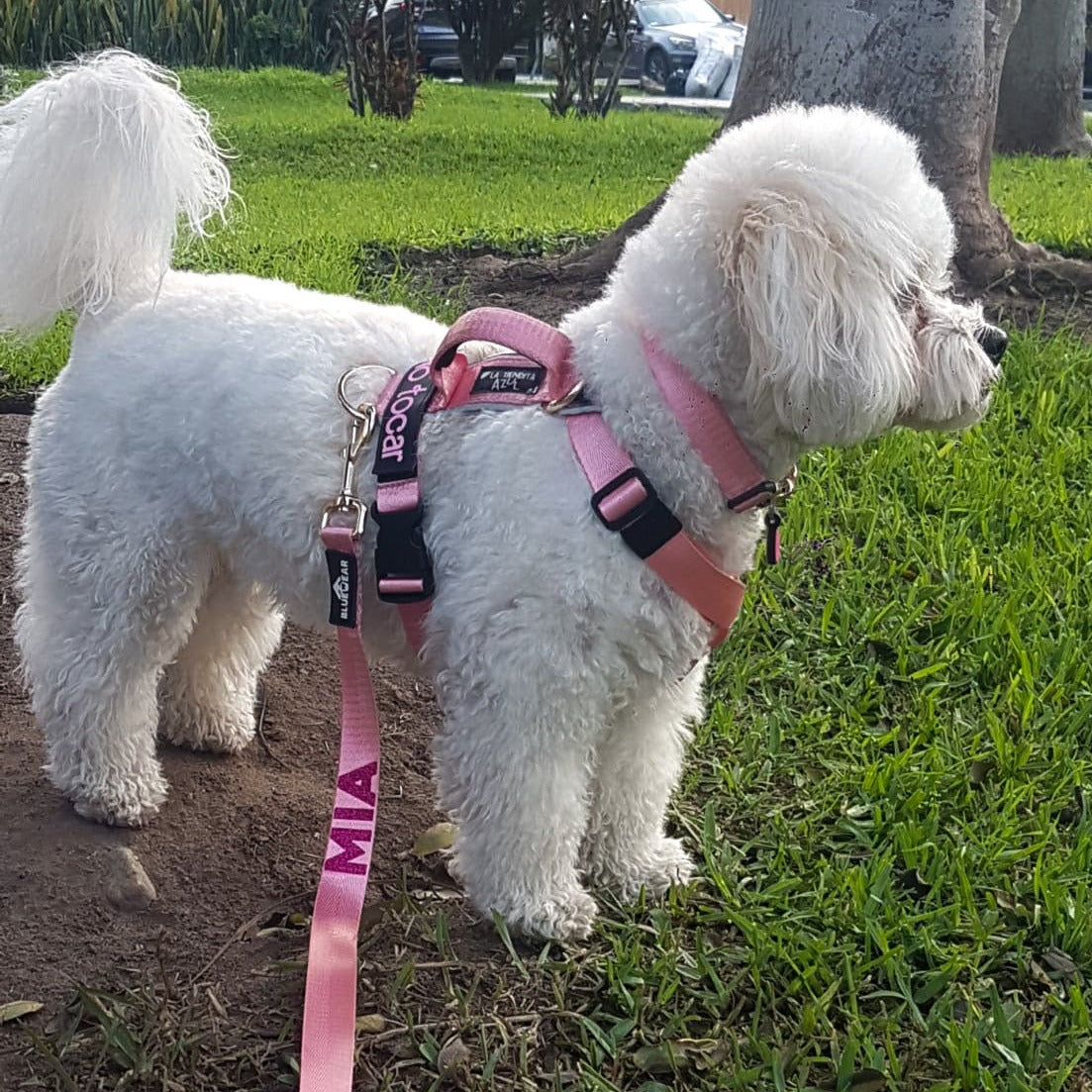 Correa clásica - Color Rosa Barbie