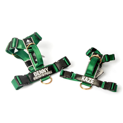 Arnés clásico - Esmeralda