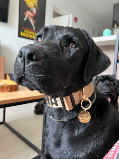 Plaquita de identificación - Colección Floral