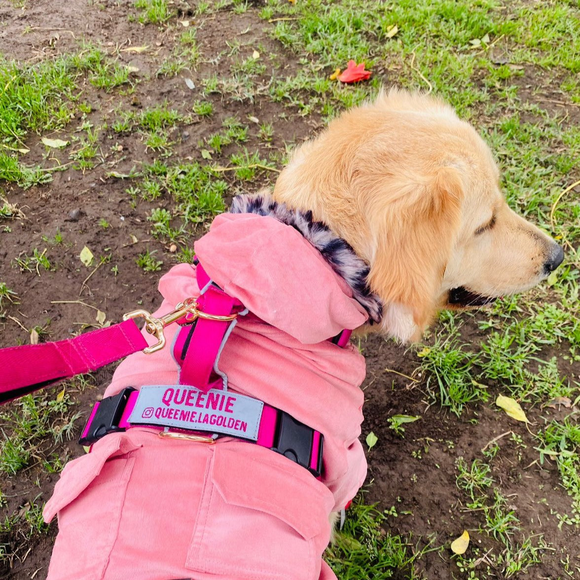 Arnés clásico - Fucsia