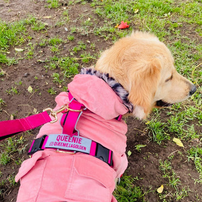 Arnés clásico - Fucsia