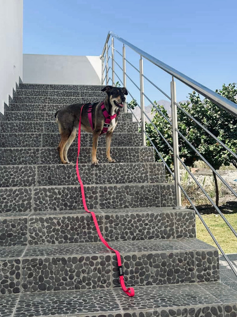 Correa larga impermeable - Fucsia