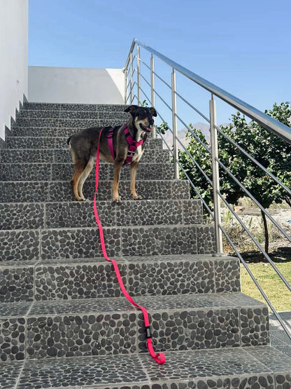 Correa larga impermeable - Fucsia