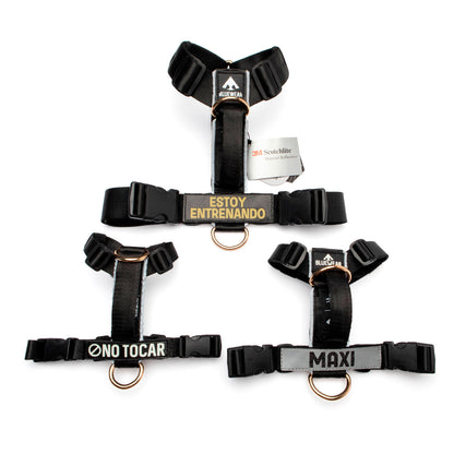 Arnés clásico - Negro