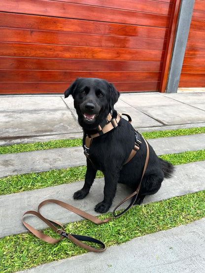 Correa clásica - Color Marrón metálico