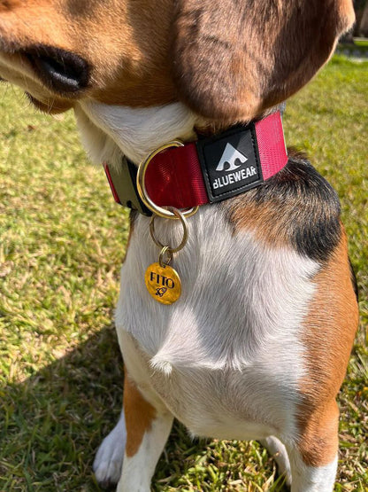 Plaquita de identificación - Colección Minimalista