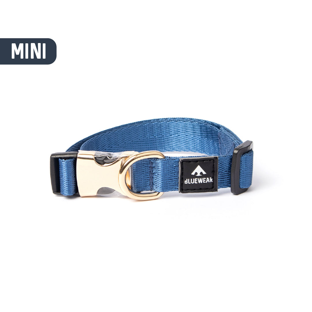 Collar light - Para perritos mini, toy o cachorros.