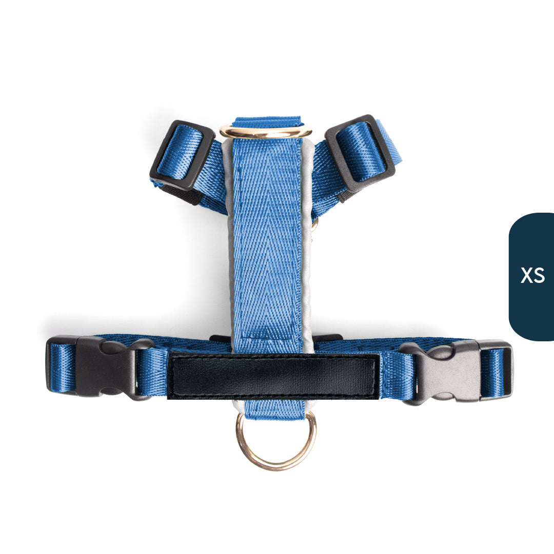 Arnés clásico - Azul acero