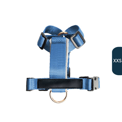 Arnés clásico - Azul acero