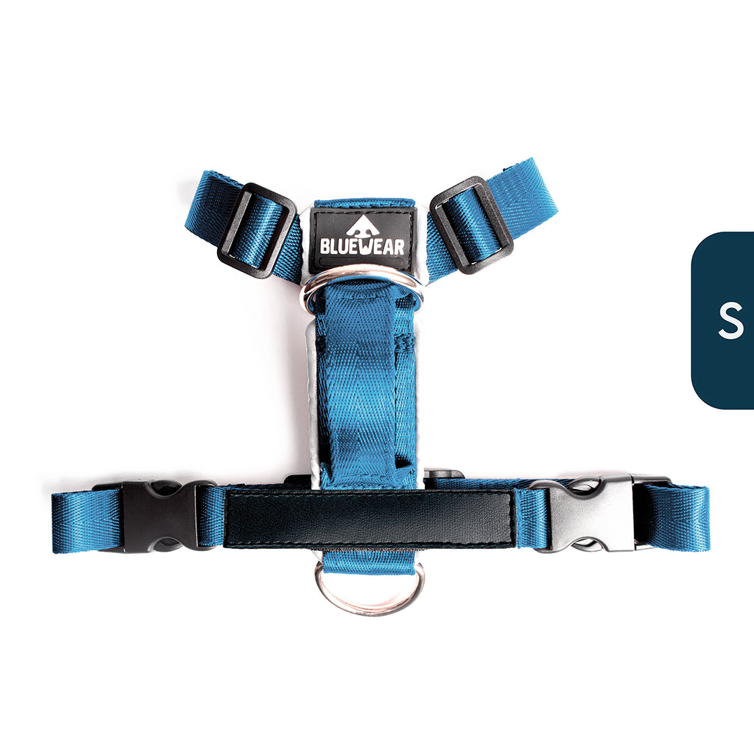 Arnés clásico - Azul acero