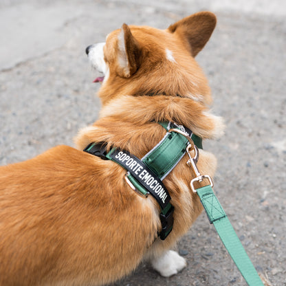 Arnés clásico - Esmeralda