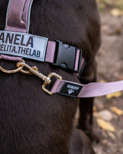 Correa clásica - Color Lila