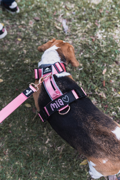 Correa clásica - Color Rosa Barbie