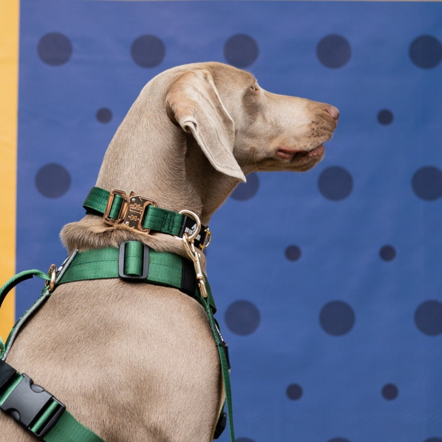 Collar Deluxe delgado - Esmeralda