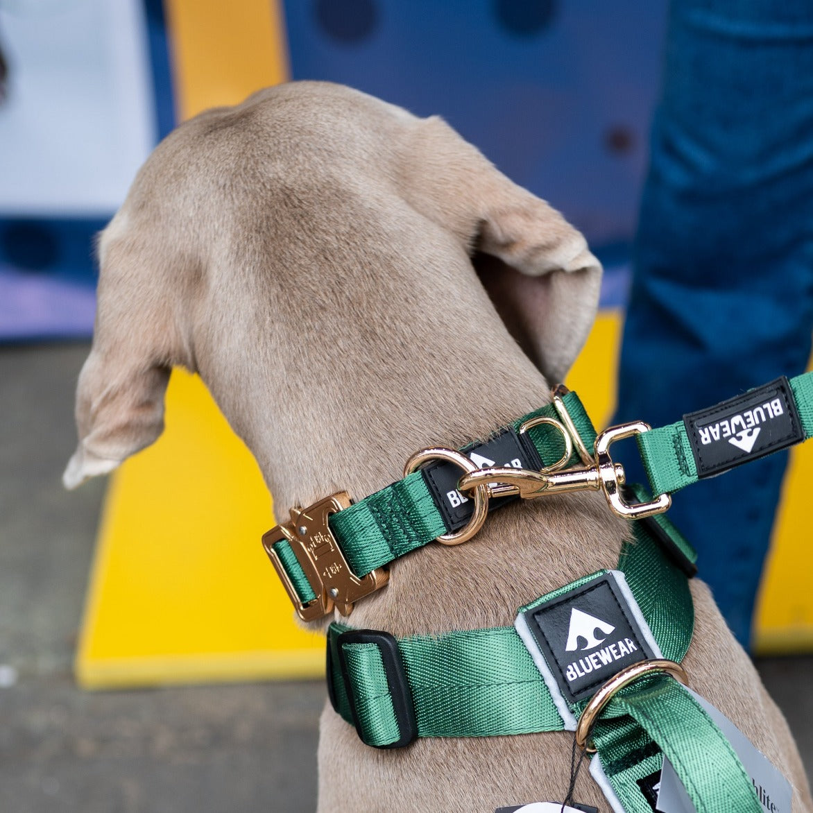 Collar Deluxe delgado - Esmeralda