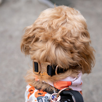 Collar Deluxe delgado - Negro