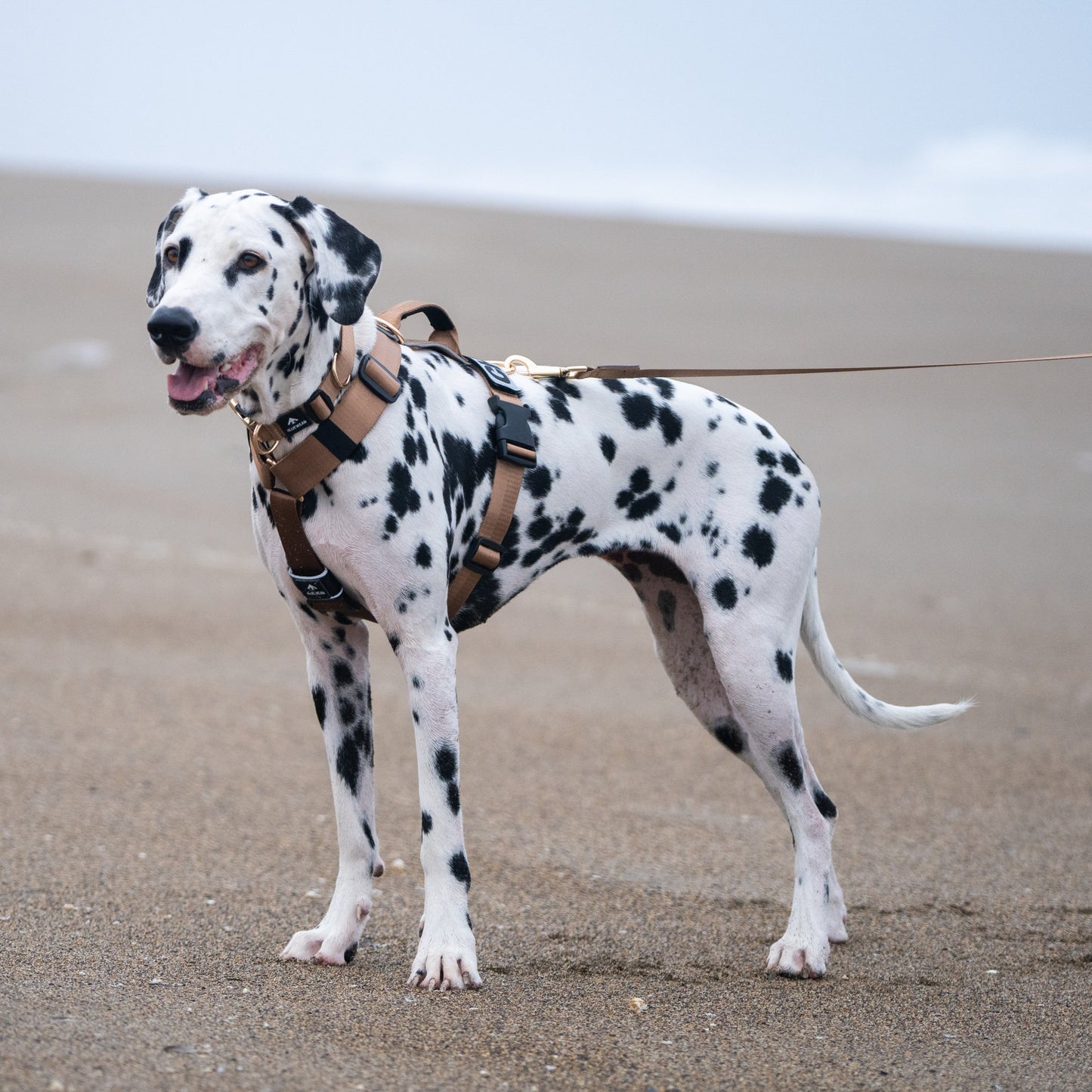 Arnés clásico - Marrón Metálico
