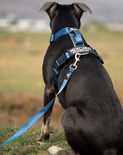 Correa clásica - Color Azul Acero