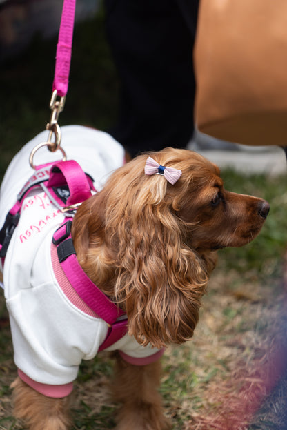 Arnés clásico - Fucsia