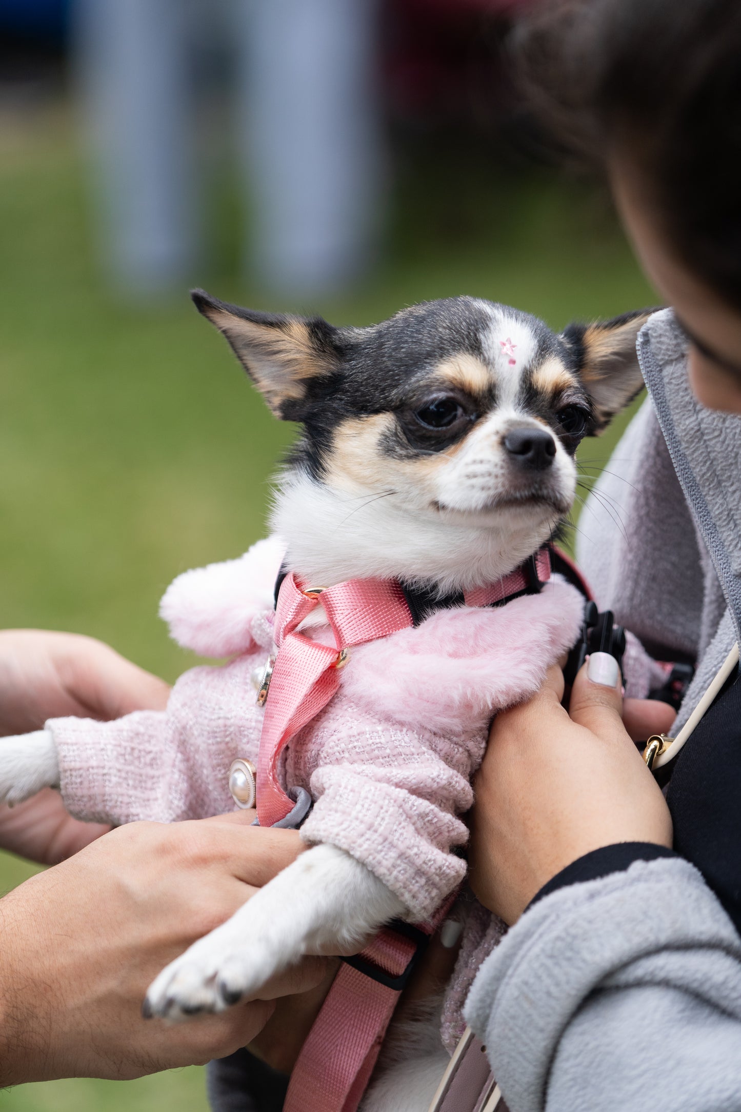 Arnés clásico - Rosa Barbie
