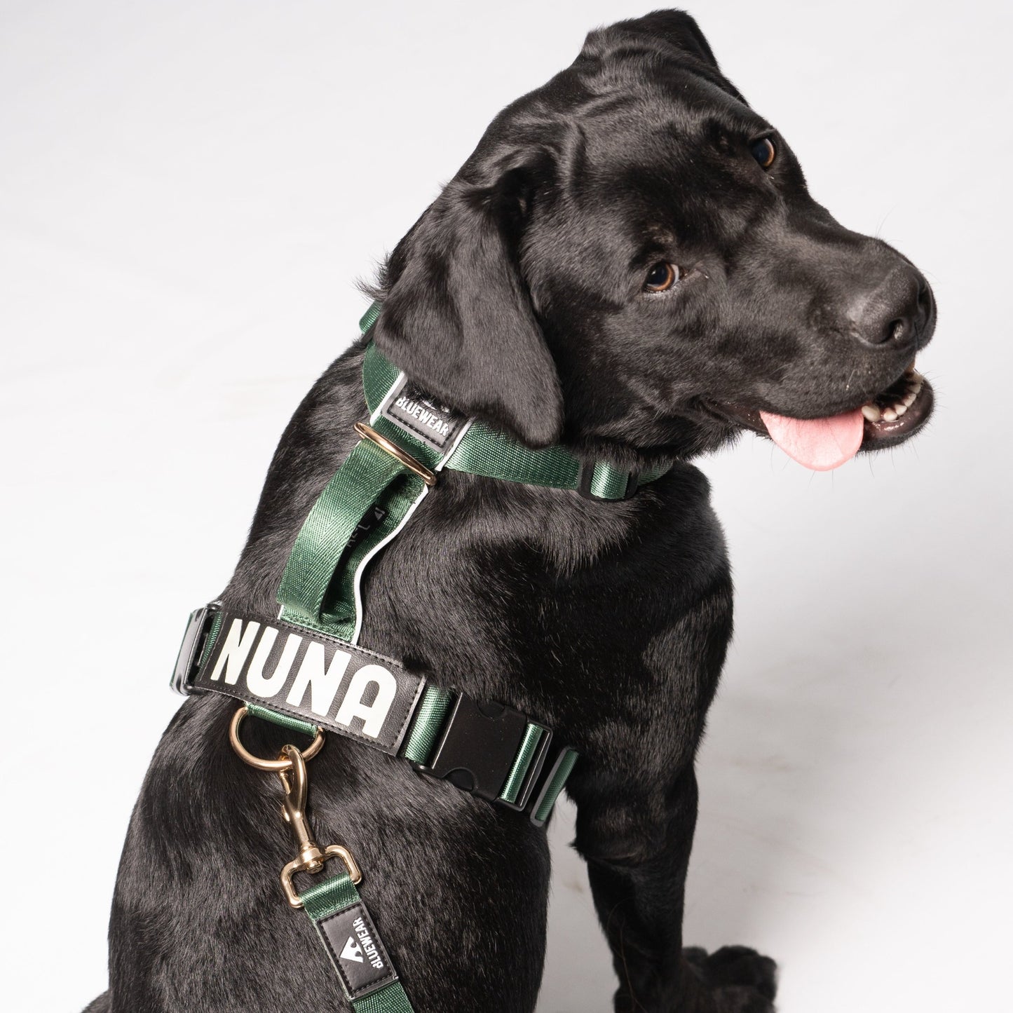 Arnés clásico - Esmeralda