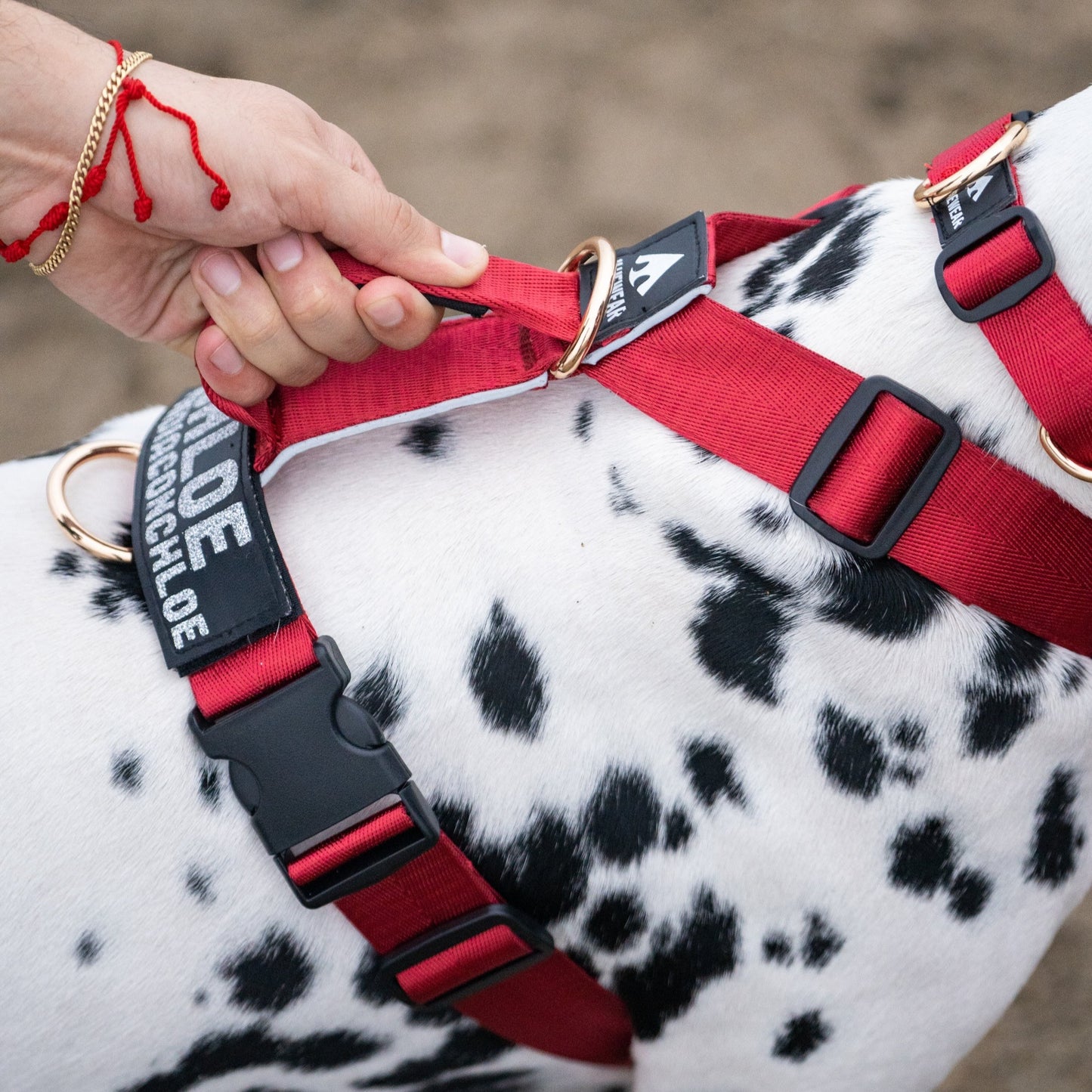 Arnés clásico - Rojo vino