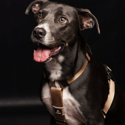 Arnés clásico - Marrón Metálico