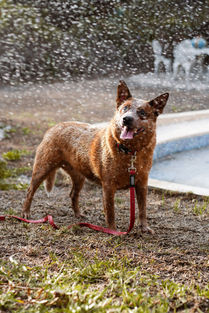 Correa larga impermeable -  Rojo