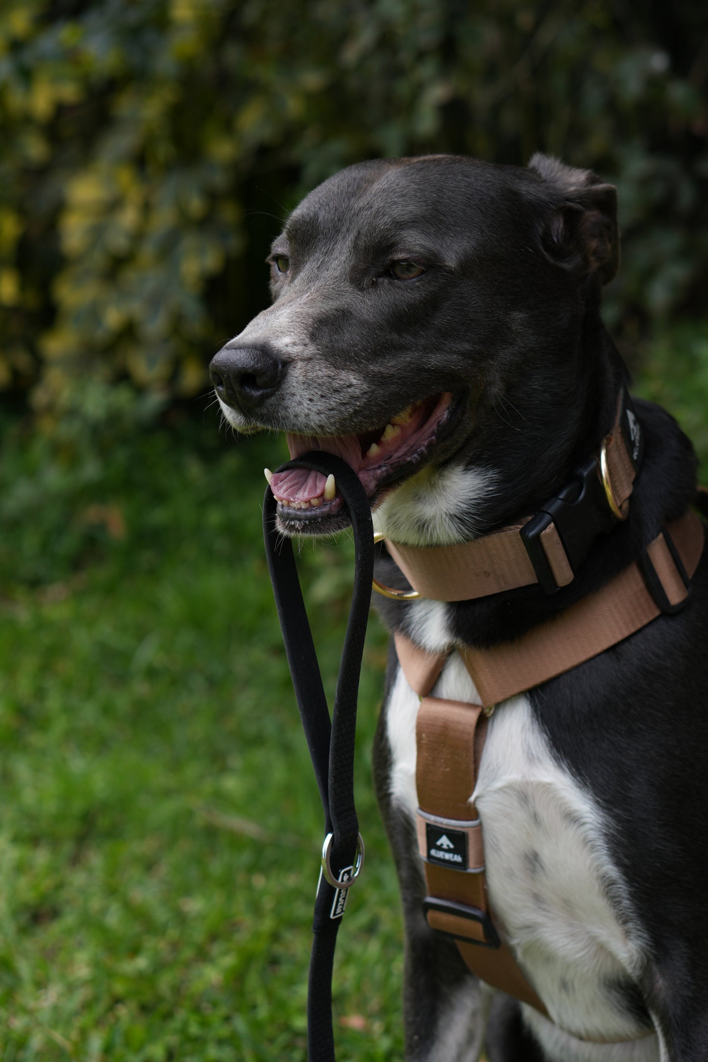 Correa larga impermeable -  Negro