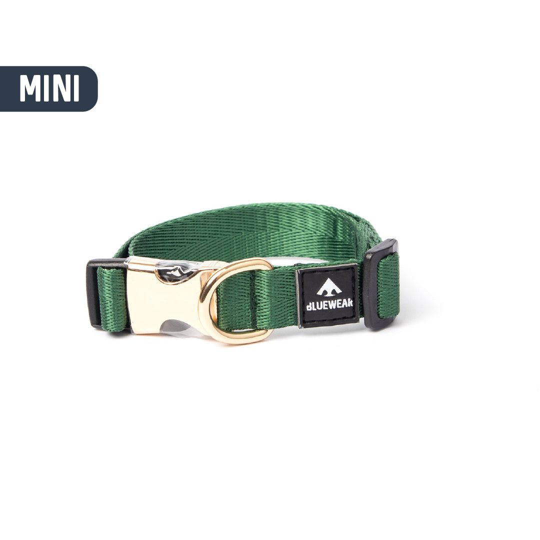 Collar light - Para perritos mini, toy o cachorros.