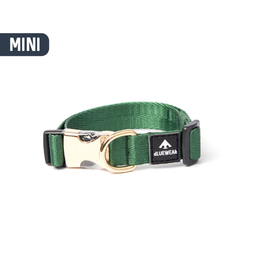 Collar light - Para perritos mini, toy o cachorros.