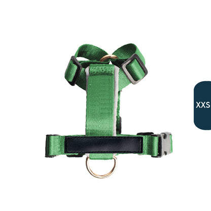 Arnés clásico - Esmeralda